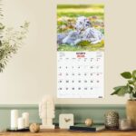 Finocam Calendario de Pared - Anual 2026 - Imagenes Variadas - 300x300mm - Espacio para Escribir - Tematica de Perros y Gatos - immagine 2