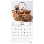 Finocam Calendario de Pared - Anual 2026 - Imagenes Variadas - 300x300mm - Espacio para Escribir - Tematica de Perros y Gatos - immagine 3