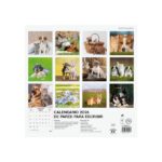 Finocam Calendario de Pared - Anual 2026 - Imagenes Variadas - 300x300mm - Espacio para Escribir - Tematica de Perros y Gatos - immagine 4