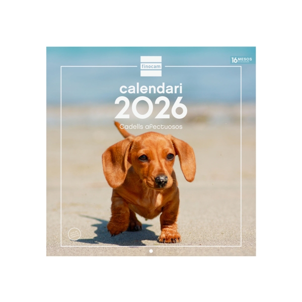 Finocam Calendario de Pared en Catalan - Anual 2026 - Imagenes Variadas - 300x300mm - Espacio para Escribir - Tematica de Cachorros Finocam Calendario de Pared en Catalan - Anual 2026 - Imagenes Variadas - 300x300mm - Espacio para Escribir - Tematica de Cachorros