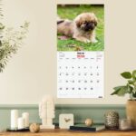 Finocam Calendario de Pared en Catalan - Anual 2026 - Imagenes Variadas - 300x300mm - Espacio para Escribir - Tematica de Cachorros - immagine 2