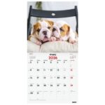 Finocam Calendario de Pared en Catalan - Anual 2026 - Imagenes Variadas - 300x300mm - Espacio para Escribir - Tematica de Cachorros - immagine 3