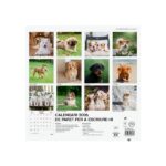 Finocam Calendario de Pared en Catalan - Anual 2026 - Imagenes Variadas - 300x300mm - Espacio para Escribir - Tematica de Cachorros - immagine 4