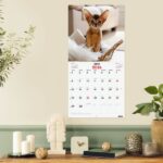 Finocam Calendario de Pared en Catalan - Anual 2026 - Imagenes Variadas - 300x300mm - Espacio para Escribir - Tematica de Gatos - immagine 2