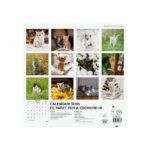 Finocam Calendario de Pared en Catalan - Anual 2026 - Imagenes Variadas - 300x300mm - Espacio para Escribir - Tematica de Gatos - immagine 4
