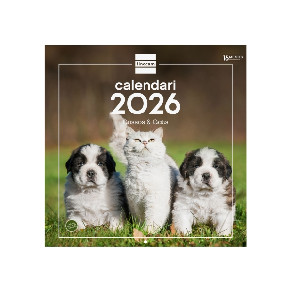 Finocam Calendario de Pared en Catalan - Anual 2026 - Imagenes Variadas - 300x300mm - Espacio para Escribir - Tematica de Perros y Gatos