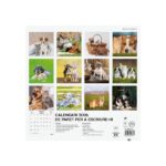 Finocam Calendario de Pared en Catalan - Anual 2026 - Imagenes Variadas - 300x300mm - Espacio para Escribir - Tematica de Perros y Gatos - immagine 4