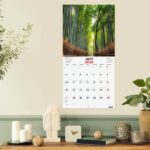 Finocam Calendario de Pared en Catalan - Anual 2026 - Imagenes Variadas - 300x300mm - Espacio para Escribir - Tematica de Naturaleza - immagine 2