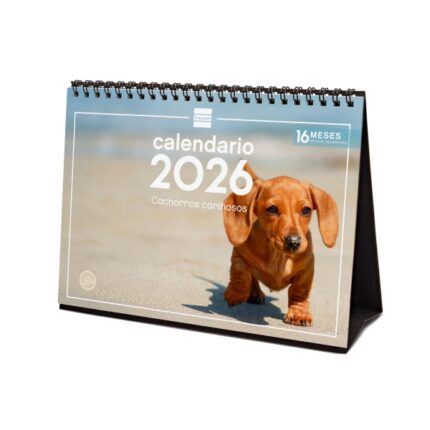 Finocam Calendario de Sobremesa - Anual 2026 - Imagenes Variadas - Espacio para Escribir - Tematica de Cachorros