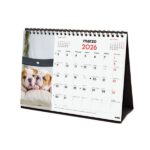 Finocam Calendario de Sobremesa - Anual 2026 - Imagenes Variadas - Espacio para Escribir - Tematica de Cachorros - immagine 4