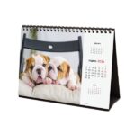 Finocam Calendario de Sobremesa - Anual 2026 - Imagenes Variadas - Espacio para Escribir - Tematica de Cachorros - immagine 5