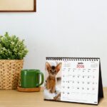 Finocam Calendario de Sobremesa - Anual 2026 - Imagenes Variadas - Espacio para Escribir - Tematica de Gatos - immagine 2
