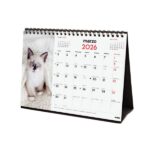 Finocam Calendario de Sobremesa - Anual 2026 - Imagenes Variadas - Espacio para Escribir - Tematica de Gatos - immagine 4