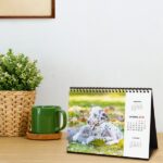 Finocam Calendario de Sobremesa - Anual 2026 - Imagenes Variadas - Espacio para Escribir - Tematica de Perros y Gatos - immagine 3