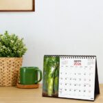 Finocam Calendario de Sobremesa - Anual 2026 - Imagenes Variadas - Espacio para Escribir - Tematica de Naturaleza - immagine 2