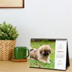Finocam Calendario de Sobremesa en Catalan - Anual 2026 - Imagenes Variadas - Espacio para Escribir - Tematica de Cachorros - immagine 3