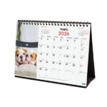 Finocam Calendario de Sobremesa en Catalan - Anual 2026 - Imagenes Variadas - Espacio para Escribir - Tematica de Cachorros - immagine 4