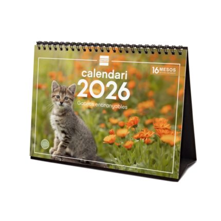 Finocam Calendario de Sobremesa en Catalan - Anual 2026 - Imagenes Variadas - Espacio para Escribir - Tematica de Gatos