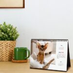 Finocam Calendario de Sobremesa en Catalan - Anual 2026 - Imagenes Variadas - Espacio para Escribir - Tematica de Gatos - immagine 3