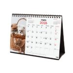 Finocam Calendario de Sobremesa en Catalan - Anual 2026 - Imagenes Variadas - Espacio para Escribir - Tematica de Perros y Gatos - immagine 4