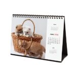 Finocam Calendario de Sobremesa en Catalan - Anual 2026 - Imagenes Variadas - Espacio para Escribir - Tematica de Perros y Gatos - immagine 5