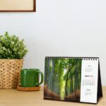 Finocam Calendario de Sobremesa en Catalan - Anual 2026 - Imagenes Variadas - Espacio para Escribir - Tematica de Naturaleza - immagine 3