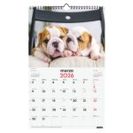 Finocam Calendario de Pared - Anual 2026 - Imagenes Variadas - con Espiral - Espacio para Escribir - Tematica de Cachorros - immagine 3