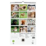 Finocam Calendario de Pared - Anual 2026 - Imagenes Variadas - con Espiral - Espacio para Escribir - Tematica de Cachorros - immagine 4