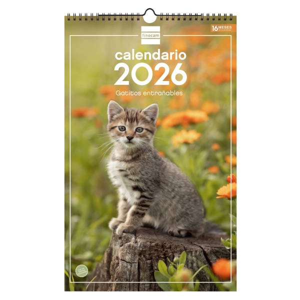 Finocam Calendario de Pared - Anual 2026 - Imagenes Variadas - con Espiral - Espacio para Escribir - Tematica de Gatos Finocam Calendario de Pared - Anual 2026 - Imagenes Variadas - con Espiral - Espacio para Escribir - Tematica de Gatos
