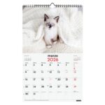 Finocam Calendario de Pared - Anual 2026 - Imagenes Variadas - con Espiral - Espacio para Escribir - Tematica de Gatos - immagine 3