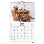 Finocam Calendario de Pared - Anual 2026 - Imagenes Variadas - con Espiral - Espacio para Escribir - Tematica de Perros y Gatos - immagine 3