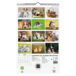 Finocam Calendario de Pared - Anual 2026 - Imagenes Variadas - con Espiral - Espacio para Escribir - Tematica de Perros y Gatos - immagine 4