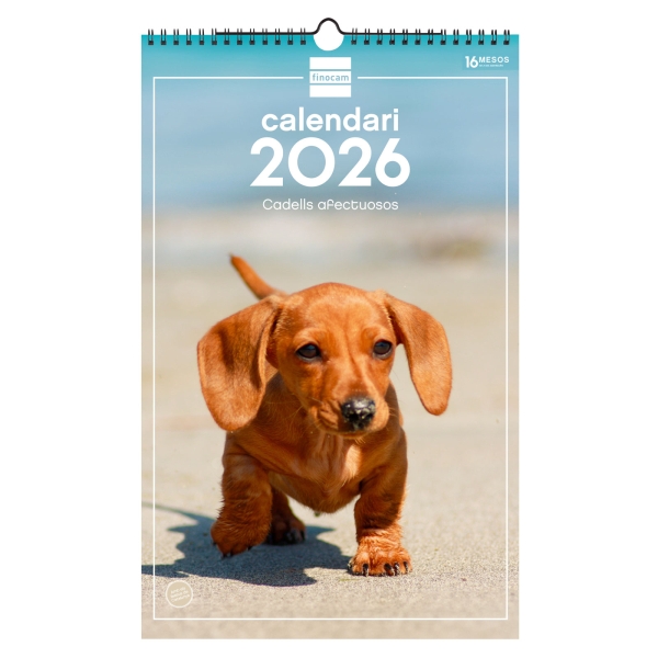 Finocam Calendario de Pared en Catalan - Anual 2026 - Imagenes Variadas - con Espiral - Espacio para Escribir - Tematica de Cachorros