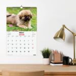 Finocam Calendario de Pared en Catalan - Anual 2026 - Imagenes Variadas - con Espiral - Espacio para Escribir - Tematica de Cachorros - immagine 2