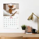 Finocam Calendario de Pared en Catalan - Anual 2026 - Imagenes Variadas - con Espiral - Espacio para Escribir - Tematica de Gatos - immagine 2