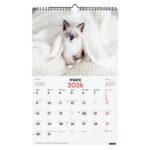 Finocam Calendario de Pared en Catalan - Anual 2026 - Imagenes Variadas - con Espiral - Espacio para Escribir - Tematica de Gatos - immagine 3