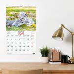 Finocam Calendario de Pared en Catalan - Anual 2026 - Imagenes Variadas - con Espiral - Espacio para Escribir - Tematica de Perros y Gatos - immagine 2