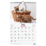 Finocam Calendario de Pared en Catalan - Anual 2026 - Imagenes Variadas - con Espiral - Espacio para Escribir - Tematica de Perros y Gatos - immagine 3
