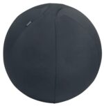 Leitz Ergo Active Balon de Asiento Antideslizante 55cm - Asa de Transporte Resistente - Carga Maxima de 120kg - Funda Lavable - Color Gris Oscuro