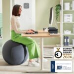 Leitz Ergo Active Balon de Asiento Antideslizante 55cm - Asa de Transporte Resistente - Carga Maxima de 120kg - Funda Lavable - Color Gris Oscuro - immagine 3