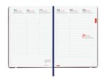Finocam Mara Agenda de Tapa Flexible Internacional - 18 Meses - Semana Vista Vertical - Formato Y10 - 140x204mm - Papel de 80g/m2 - Esquinas Microperforadas - Cierre con Goma - Color Azul - immagine 5