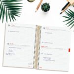 Finocam Espiral Agenda Internacional - 18 Meses - 2 Dias por Pagina - Formato E10 - 155x212mm - Tapas de Polipropileno - Papel de 70g/m2 - Esquinas Microperforadas - Multicolor - immagine 4