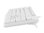 Natec Nautilus Teclado  Multimedia USB - 106 Teclas Membrana - Resistente a Salpicaduras - Color Blanco - immagine 4