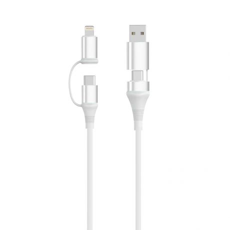Ewent EC1076 Cable USB-C 4 en 1 - 60W - 2 Metros - USB-C