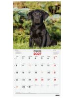 Finocam Cachorros Calendario de Pared - 16 Meses 26/27 - Mes Vista - 300x300mm - Papel de 170g/m2 - Imagenes Tematicas Surtidas - Espacio para Notas - immagine 2