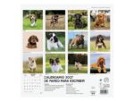 Finocam Cachorros Calendario de Pared - 16 Meses 26/27 - Mes Vista - 300x300mm - Papel de 170g/m2 - Imagenes Tematicas Surtidas - Espacio para Notas - immagine 3