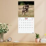 Finocam Cachorros Calendario de Pared - 16 Meses 26/27 - Mes Vista - 300x300mm - Papel de 170g/m2 - Imagenes Tematicas Surtidas - Espacio para Notas - immagine 4