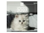 Finocam Gatitos Calendario de Pared - 16 Meses 26/27 - Mes Vista - 300x300mm - Papel de 170g/m2 - Imagenes Tematicas Surtidas - Espacio para Notas