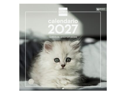 Finocam Gatitos Calendario de Pared - 16 Meses 26/27 - Mes Vista - 300x300mm - Papel de 170g/m2 - Imagenes Tematicas Surtidas - Espacio para Notas