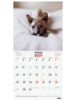 Finocam Gatitos Calendario de Pared - 16 Meses 26/27 - Mes Vista - 300x300mm - Papel de 170g/m2 - Imagenes Tematicas Surtidas - Espacio para Notas - immagine 2